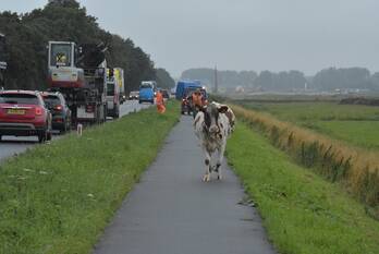 nieuws doenkade - n209 rotterdam