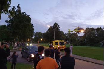 nieuws kreek lelystad