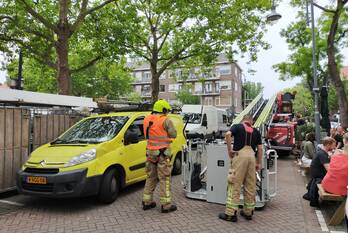 natuur rododendronplein rotterdam