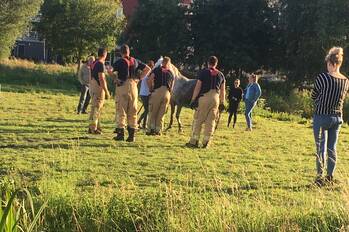 nieuws joppelaan schiedam