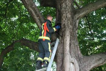 nieuws plantsoen leiden
