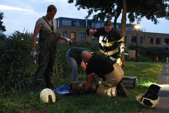 nieuws grenspolder amersfoort