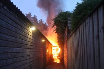 brand zonnedauw odiliapeel