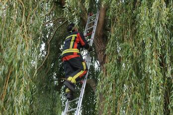 nieuws ter lips voorschoten