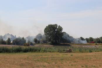brand weerdseweg wilp