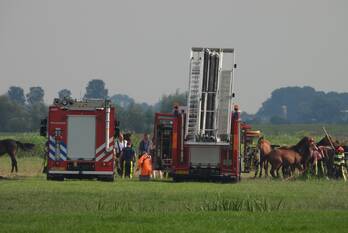 nieuws sudhoekstermiddelweg vrouwenparochie