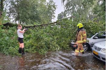 nieuws wildforster barneveld