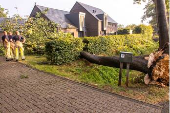 nieuws molenweg hoogland