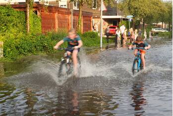 nieuws wildzoom barneveld