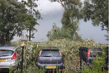 natuur hulckesteijn nijkerk