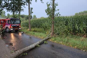 nieuws broekkant schijndel