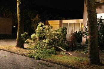 nieuws brenninkmeijerlaan hooglanderveen