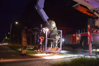 natuur geeresteinselaan - n226 woudenberg