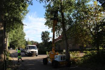 nieuws hoeves schijndel