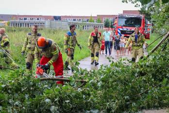 natuur notarisappel barneveld
