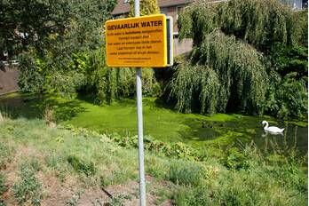 nieuws heer halewijnpad amersfoort