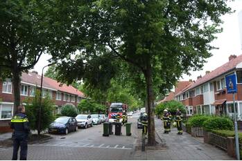 natuur hobbemastraat leeuwarden