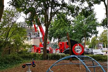 natuur d'hondecoeterstraat ede