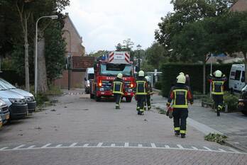 natuur schulpeinde katwijk