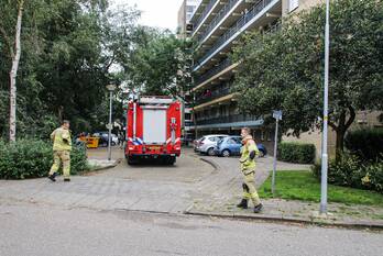 nieuws van oldenbarneveltstraat nijkerk