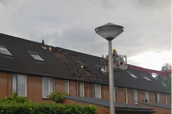 nieuws meerkoetplaats numansdorp