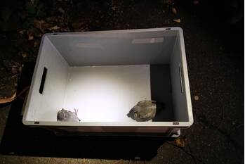 natuur sportparkweg ede