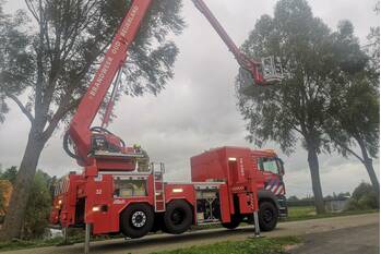 natuur molendijk numansdorp