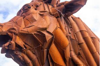 nieuws kamp amersfoort