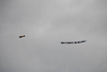 nieuws de bird leeuwarden