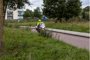 nieuws watersalamander amersfoort