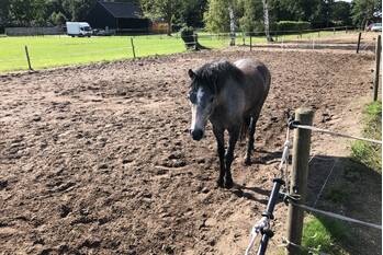 nieuws mosbulten sint-oedenrode
