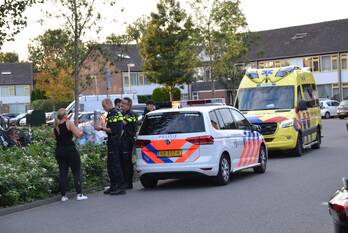 nieuws wingerd waddinxveen