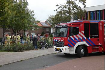 nieuws koninginnelaan veenendaal