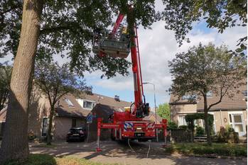 nieuws gerard doustraat ede