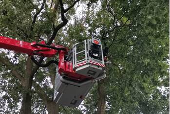 nieuws gerard doustraat ede