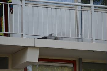 brand jacques urlusplantsoen leiden