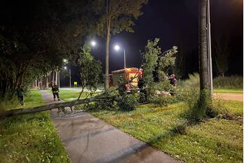 natuur burgemeester jamessingel gouda