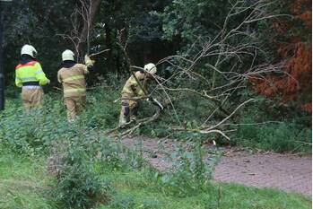 natuur turfven veghel