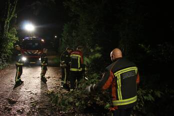 natuur prins hendrikweg noordwijk