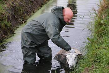 nieuws leidsevaart - n444 voorhout