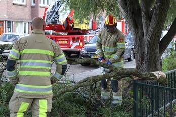 natuur bonistraat utrecht