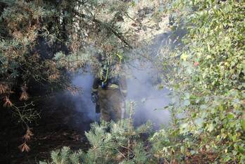 brand trancheeweg weert