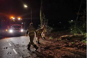 natuur horalaan bennekom