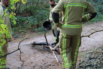 brand baggelhuizen assen
