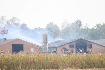 brand klein bruggen deurne