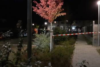 steekincident papaverhof eefde