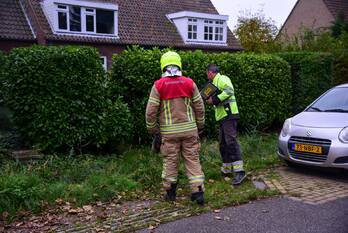 nieuws oud rhoonsedijk poortugaal