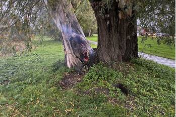 brand julianasluispad gouda