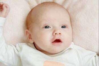 nieuws prins bisschopsingel - n278 maastricht