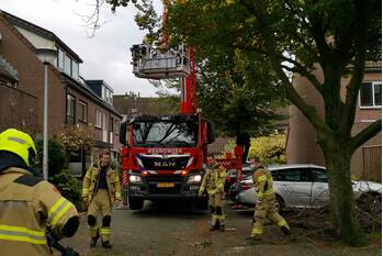 natuur linnaeushof ede